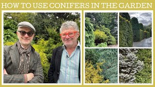 How to use conifers in the garden tips and ideas [upl. by Destinee]