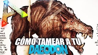 COMO TAMEAR A TU DAEODON  Guia Español  Ark Survival Evolved [upl. by Ydnyl]