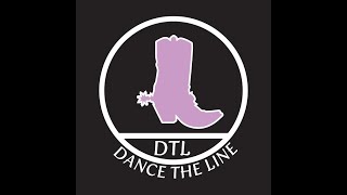 Learn How To Line Dance Beginners Steps Side Together Side Touch and Charleston Kick [upl. by Giwdul]