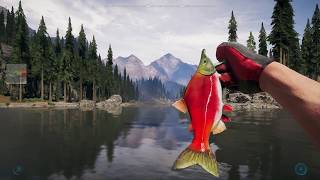 Fishing kokanees hard fishing spot salmon location far cry 5 [upl. by Mauldon749]