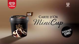 Yeni Carte dOr Mini Cup [upl. by Gollin]