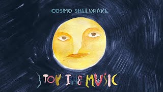 Cosmo Sheldrake  Stop The Music Official Video [upl. by Minda726]