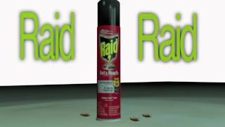 raid commercial 30SEC [upl. by Aennaej]