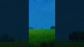 Asi Punjab de Jaye  Ammy Virk  Punjabi song  watsapp status video  shortvl youtubeshorts [upl. by Jarret]