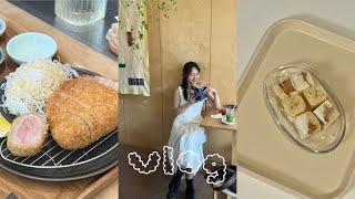 vlog 4시간 기다린 돈카츠 맛은 다이어트아이스크림 레시피 쾌변오나오레시피 보배진 라이픈커피 [upl. by Enorahs635]