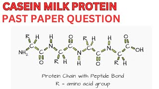 CASEIN MILK PROTEIN [upl. by Ida68]