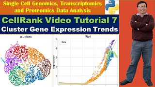 CellRank Video Tutorial 7 Cluster Genes with Similar Expression Trends [upl. by Annalee]