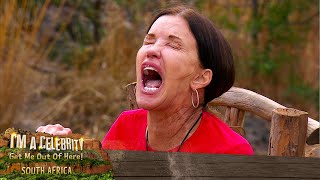 Puking up Lambs Testicles  Im A Celebrity South Africa [upl. by Gayleen]