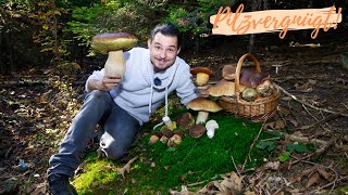 Im Wald der RiesenRöhrlinge 💪 Gigantische Steinpilze Hexen und viele PilzBabys [upl. by Riek147]