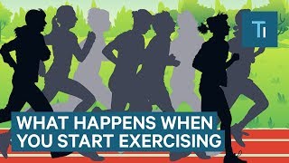 What Happens To Your Body When You Start Exercising Regularly  The Human Body [upl. by Ahsiena]