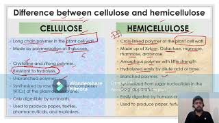 Cellulose vs Hemicellulose [upl. by Lorin]