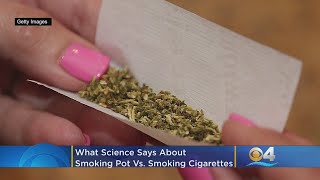 Heres What Science Says About Smoking Pot Vs Smoking Cigarettes [upl. by Suilmann]