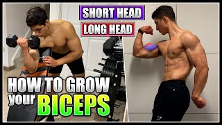 How to grow your BICEPS  Best Exercises amp Training Tips [upl. by Ihsar]