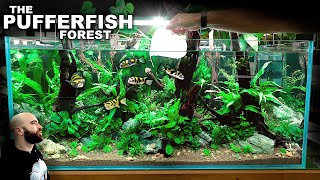 The Amazon Pufferfish Forest EPIC 4ft Aquascape Tutorial [upl. by Chelsy]