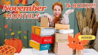 Monthly Subscription Box Haul  November 2023  New Boxes  Holiday Gifts [upl. by Arahat357]