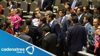 Bronca entre panistas priistas y ecologistas en la Cámara de Diputados [upl. by Bass389]