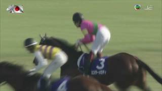 2019 Takamatsunomiya Kinen G1  Mr Melody 曲調夫子  YFukunaga [upl. by Winnah]