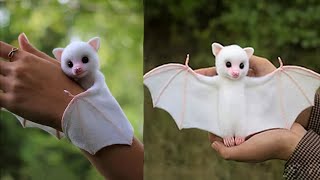 9 Cutest Exotic Pets In The World [upl. by Eirrehs35]