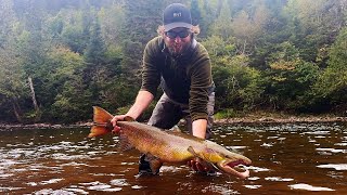 Giant Atlantic Salmon Caught in Gaspé [upl. by Ebarta]