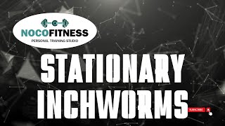 How to Do the Stationary Inchworm Exercise  FullBody Mobility amp Strength with NoCo Fitness [upl. by Tallbot777]