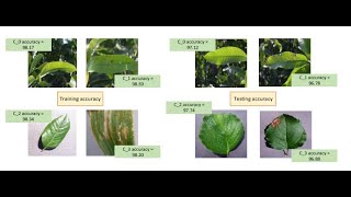 Multilayer Convolution Neural Network MCNN for the Classification of Mango Leaves Infected [upl. by O'Gowan]