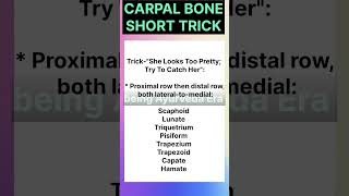 Carpal bones short trick humananatomyanatomybiologycarpalbonesytshortsyttrendingtricks [upl. by Onateag]