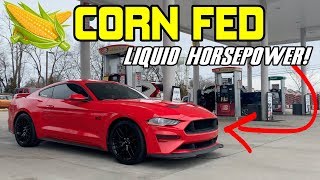 INSANE  20182019 Mustang GT on E85  YOU WONT BELIEVE THE POWER [upl. by Gintz]