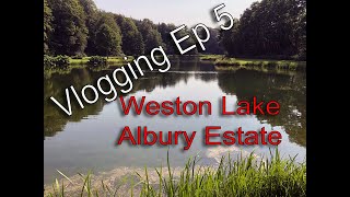 Stillwater Fly Fishing on Weston Lake at the Albury Estate VLOG Ep 5 24 June 2020 [upl. by Niuqram]