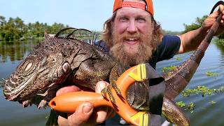 Invasive Species Iguana Slingshot Catch amp Cook  Florida Keys Episode 4 [upl. by Slavin]