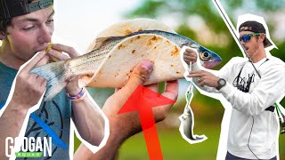 Googan SURVIVAL Skills Catch Clean and Cook  Schooling FISH [upl. by Dow]