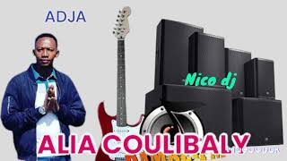 NICO DJ ALIA COULIBALY ADJA FASSA 2024 [upl. by Hsirap]