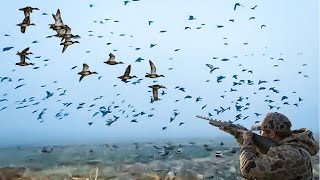 DUCKS GO INSANE FOR FOG CLEAN AND COOK [upl. by Roseann]