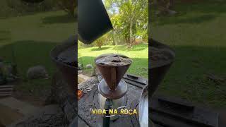 VIVENDO A VIDA NA ROÇA [upl. by Acimad]