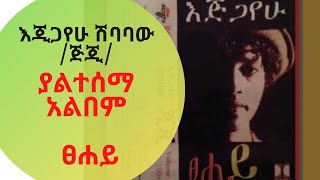 Gigi Egigayehu Shibabaw Tsehay album እጂጋየሁ ሽባባዉ ጂጂ ጸሃይ new amharic album ethiopia music [upl. by Hollie]