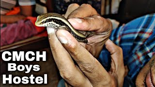 Skink  Saanp Ki Mausi  Chirayu Medical College and Hospital Bhopal Madhya Pradesh [upl. by Laet519]