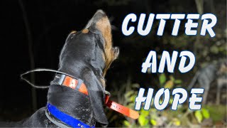 Coon hunting with Blueticks Meet Cutter and Hope [upl. by Prudence]