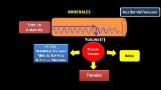 Minerales Yodo [upl. by Durham]