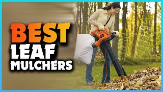 Top 5 Best Leaf Mulchers  Extreme Reviewer [upl. by Akenn620]