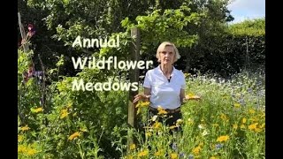 How to Create an Annual Wildflower Meadow [upl. by Gefen]