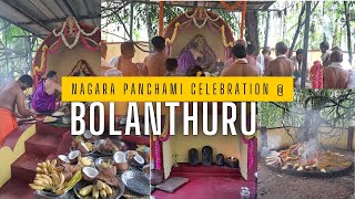 Nagara Panchami Celebration at Bolanthuru I Naga Panchami I vlog nagpanchami [upl. by Nioe142]