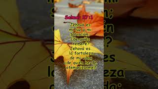 Salmos 271 [upl. by Eelrehpotsirhc]