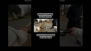 【カナダ】Wwoof in Canada on a city side farm Cycling on my day off wwoof canada dayoff cycling [upl. by Hersch]