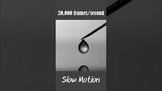 Water Droplet In 20000 FrameSecond  Slowmotion shorts [upl. by Saunder]