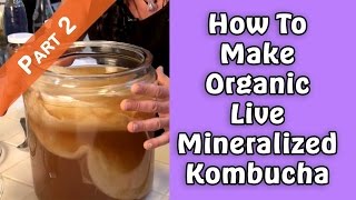 How To Make Organic Live Mineralized Kombucha Part 2  Dr Robert Cassar [upl. by Camile]