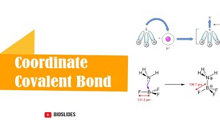 Coordinate Covalent Bond  Dative Covalent Bond  coordinatecovalentbond coordinate bioslides [upl. by Martinson129]