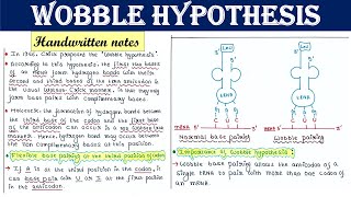 Wobble hypothesis  Significance [upl. by Nohsreg]