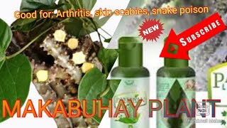 What is MAKABUHAY PLANT [upl. by Nwahs]