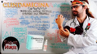 💊 Clindamicina quotDalacinquot Antibiótico Lincosamida [upl. by Nillad]