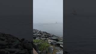 Downtown Dartmouth waterfront view of Halifax with a ferry on a foggy day [upl. by Montanez]