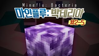 양띵 핵을 능가하는 박테리아 전쟁 마인플루 박테리아 2일차 5편 마인크래프트 Bacteria Mod [upl. by Dnomso]